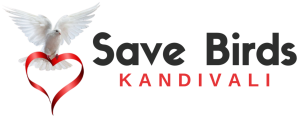 Save Birds Logo